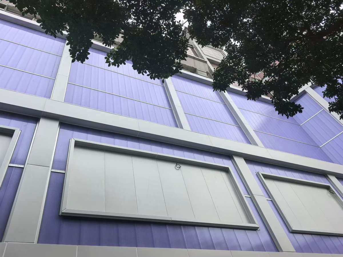 某市体育馆PC插接板幕墙与采光顶工程案例